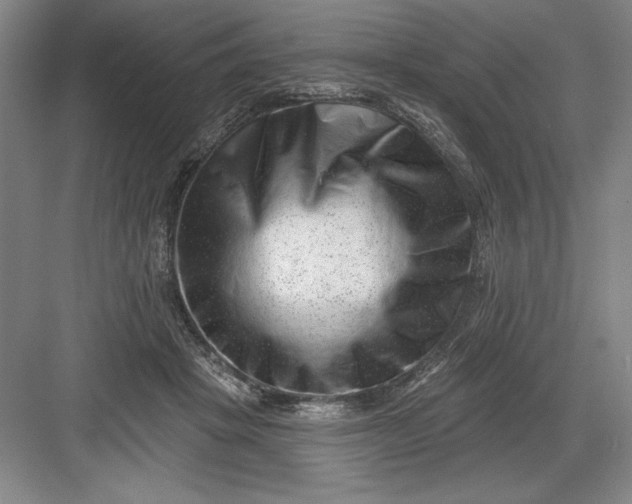 X0000082980457200702160002