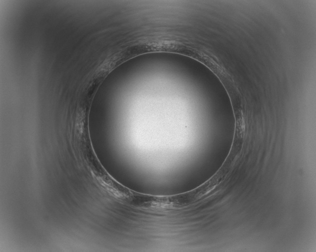 X0000082980458200702160002
