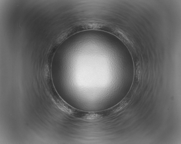 X0000082980459200702160002