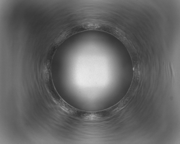 X0000082980460200702160002