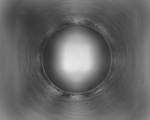 X0000082980461200702160002