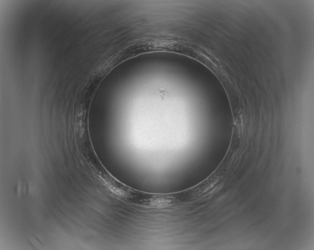 X0000082980462200702160002