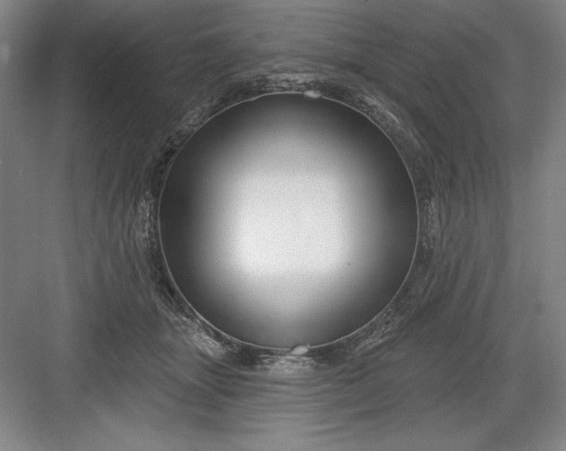 X0000082980463200702160002