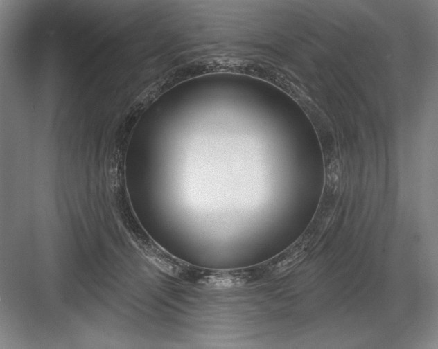 X0000082980464200702160002