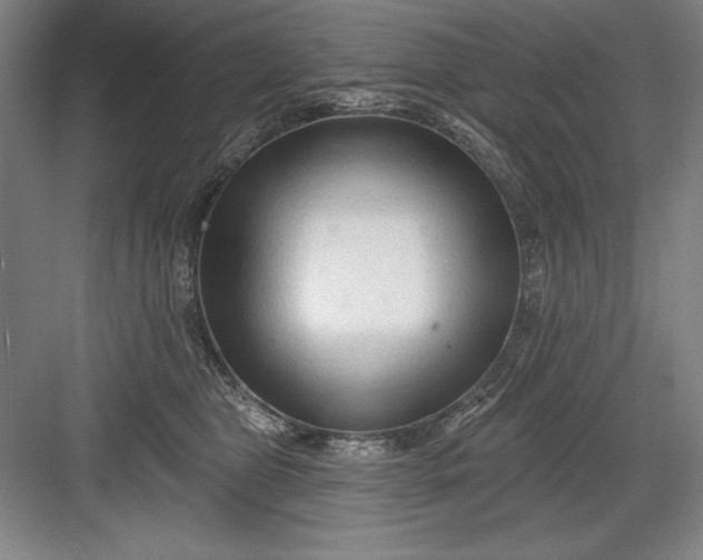 X0000082980469200702160002