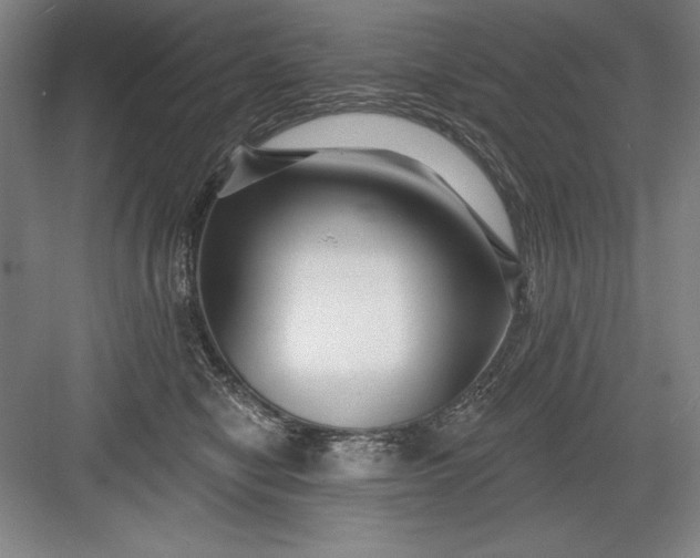 X0000082980470200702160002
