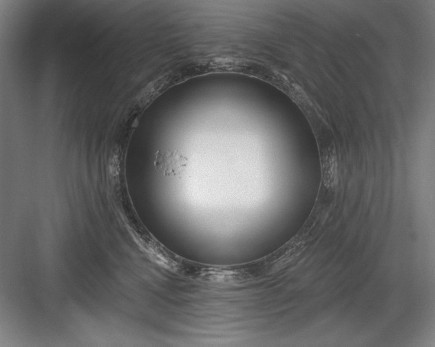 X0000082980472200702160002