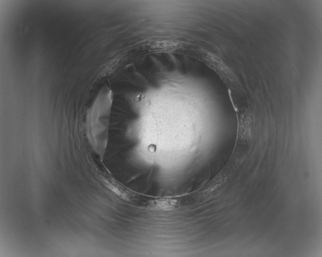 X0000082980474200702160002