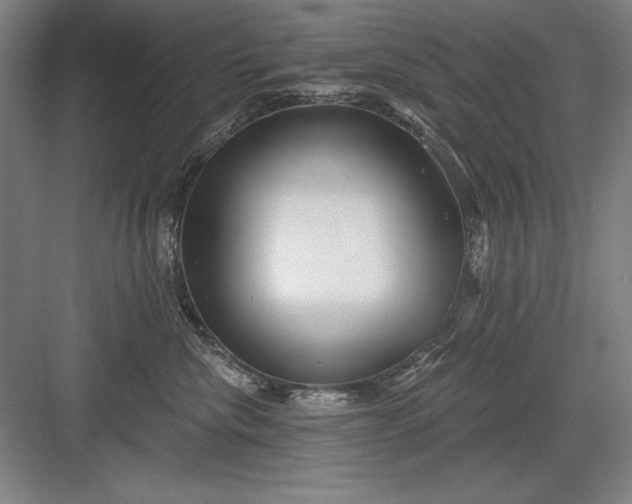 X0000082980476200702160002