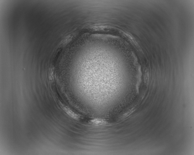 X0000082980477200702160002