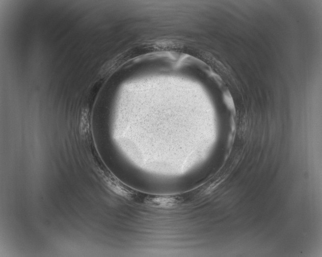 X0000082980478200702160002