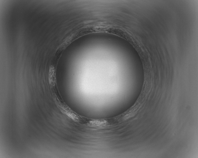 X0000082980480200702160002