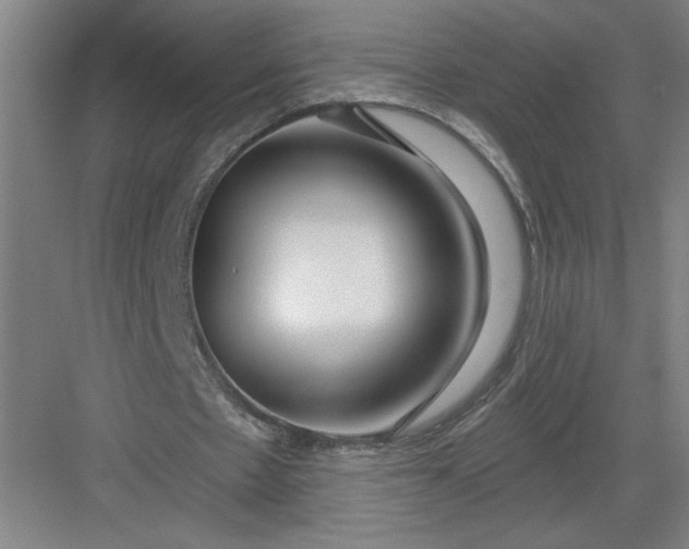 X0000082980481200702160001
