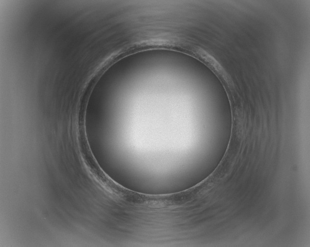 X0000082980482200702160001