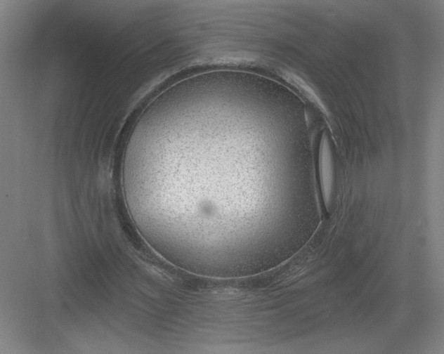 X0000082980483200702160001