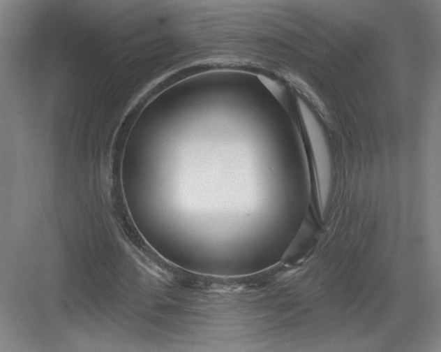X0000082980484200702160001