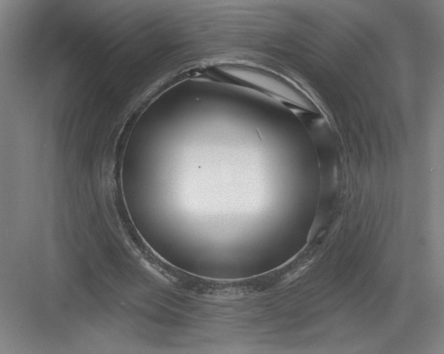 X0000082980485200702160001