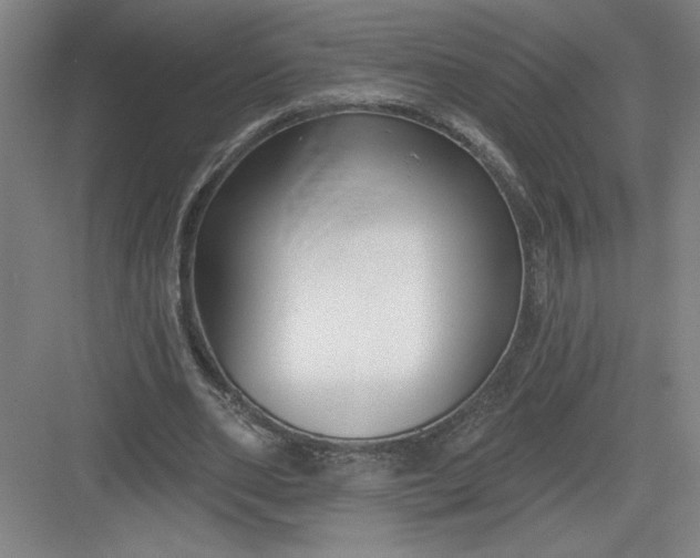 X0000082980486200702160001
