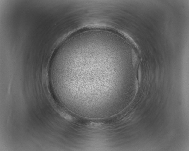 X0000082980487200702160001