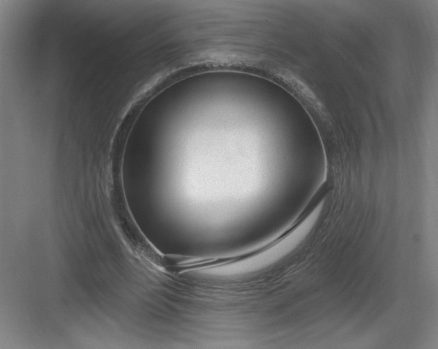 X0000082980488200702160001
