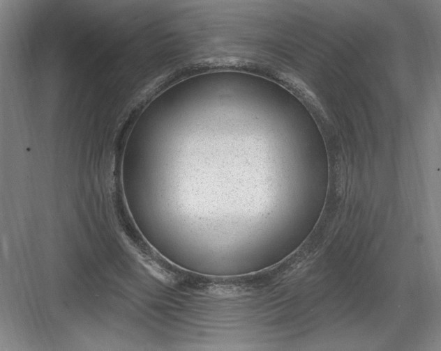 X0000082980490200702160001