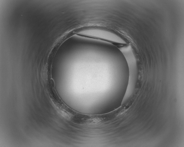 X0000082980492200702160001