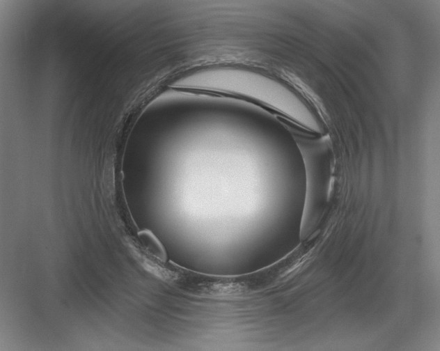 X0000082980493200702160001