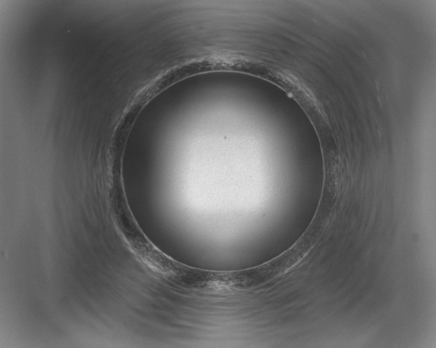 X0000082980496200702160001