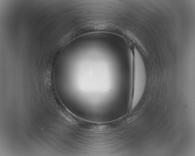 X0000082980497200702160001