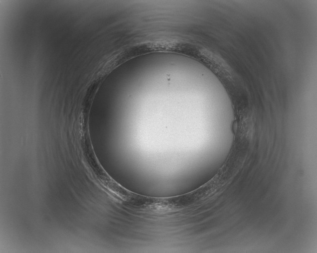 X0000082980498200702160001