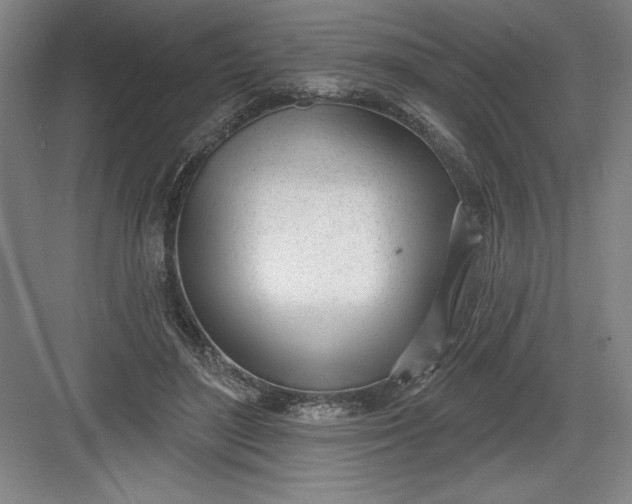 X0000082980500200702160001
