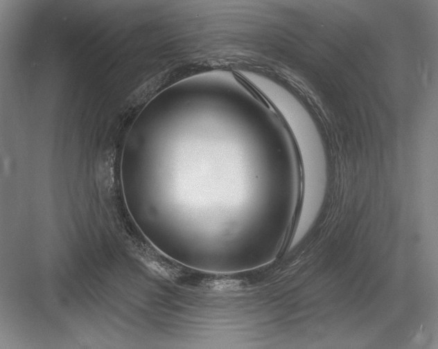 X0000082980501200702160001