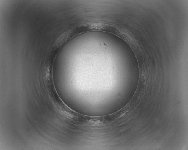 X0000082980502200702160001