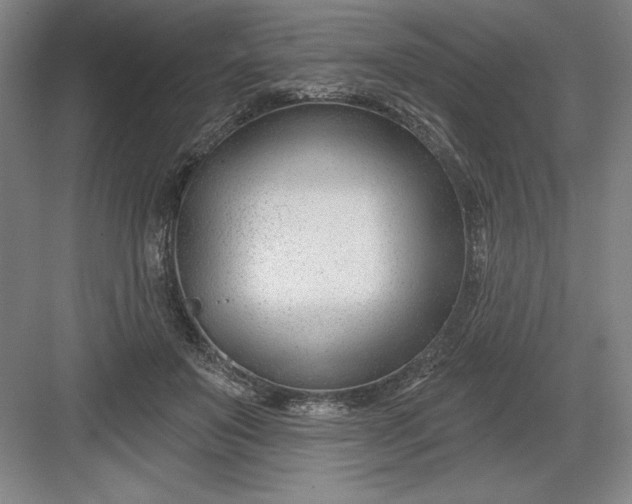 X0000082980503200702160001