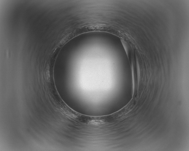 X0000082980508200702160001