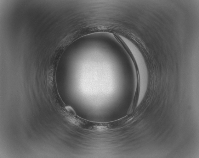 X0000082980509200702160001