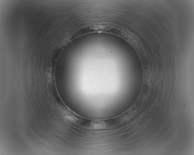 X0000082980510200702160001