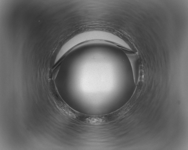 X0000082980512200702160001