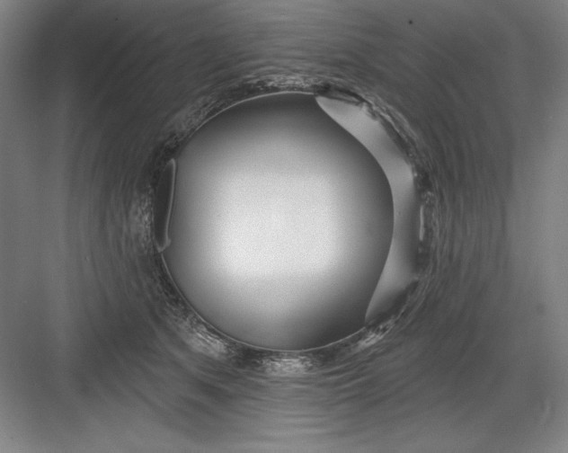 X0000082980513200702160001
