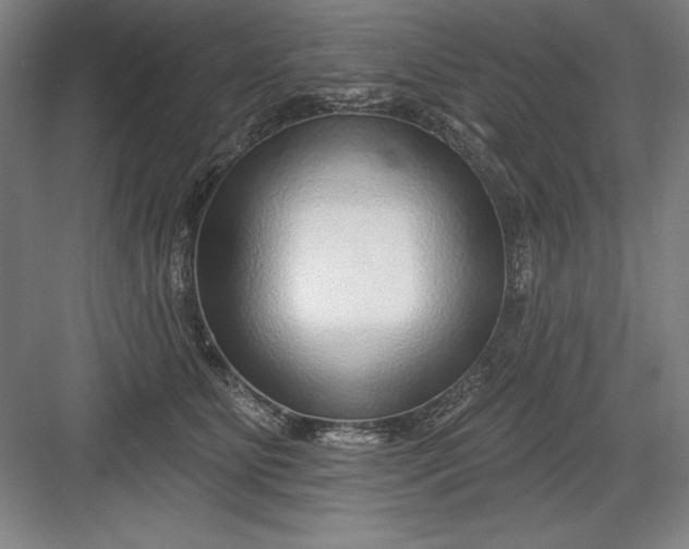 X0000082980515200702160001