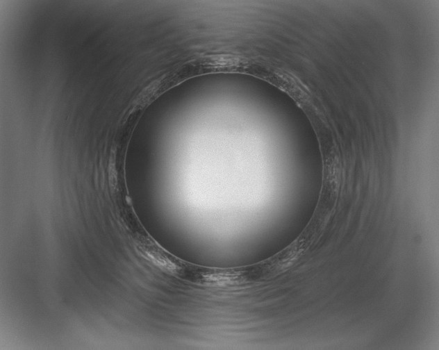 X0000082980516200702160001