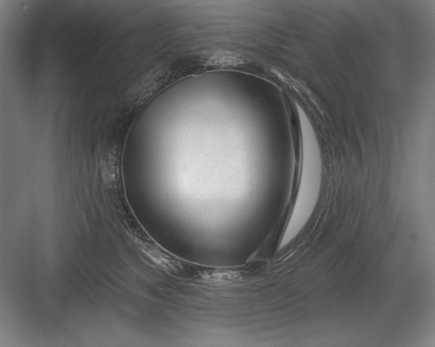 X0000082980517200702160001
