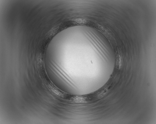 X0000082980518200702160001
