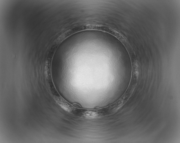 X0000082980519200702160001