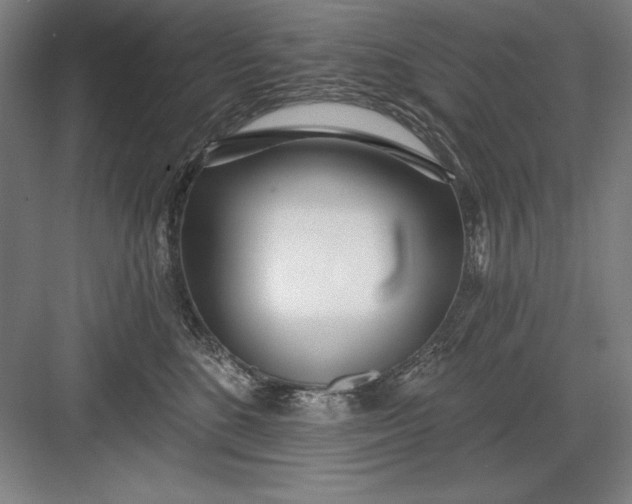 X0000082980520200702160001