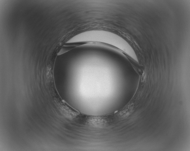 X0000082980521200702160001