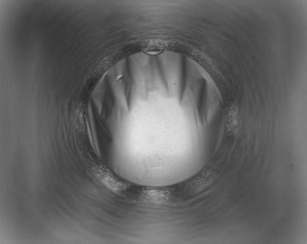 X0000082980522200702160001