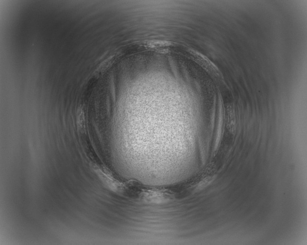 X0000082980523200702160001