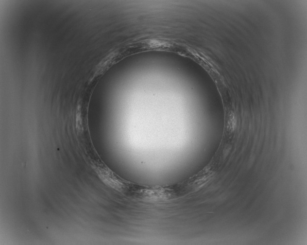 X0000082980524200702160001