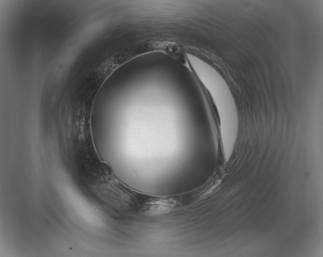 X0000082980525200702160001